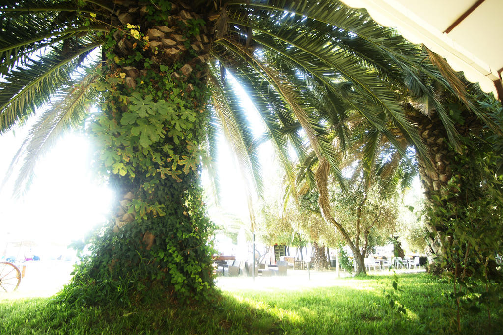Hotel Possidona Beach Gerakini Exterior foto